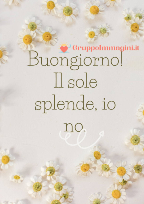 Buongiorno! Il sole splende, io no