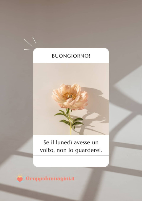 Buongiorno! Se il lunedì avesse un volto, non lo guarderei