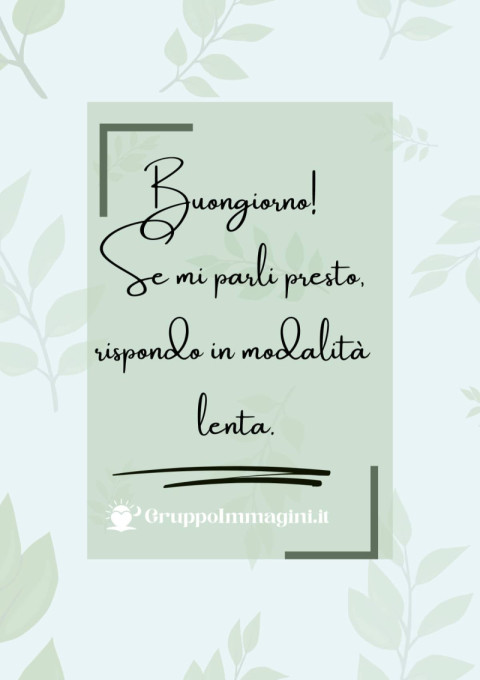 Buongiorno! Se mi parli presto, rispondo in modalità lenta