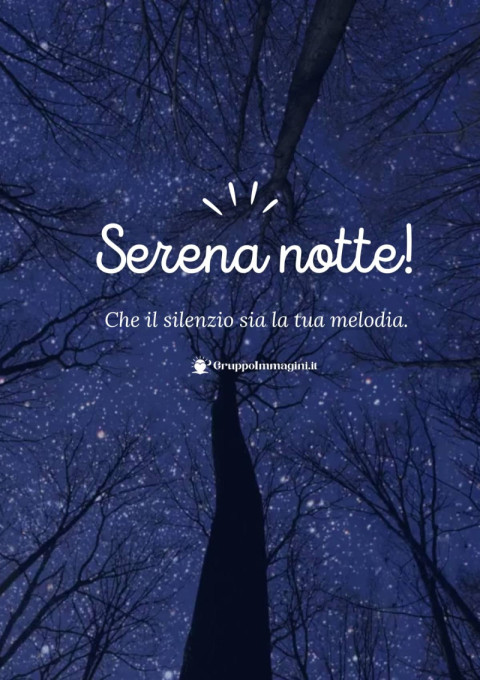 Serena notte! Che il silenzio sia la tua melodia