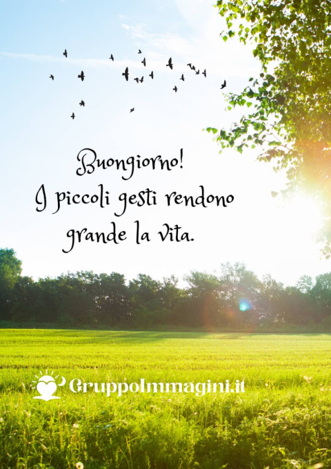 Buongiorno! I piccoli gesti rendono grande la vita
