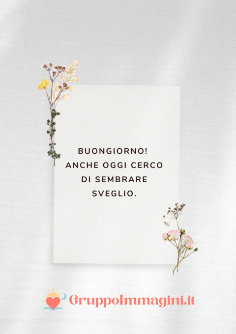 Buongiorno! Anche oggi cerco di sembrare sveglio