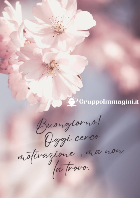 Buongiorno! Oggi cerco motivazione, ma non la trovo