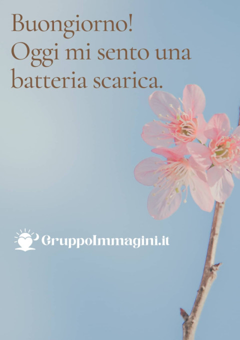 Buongiorno! Oggi mi sento una batteria scarica