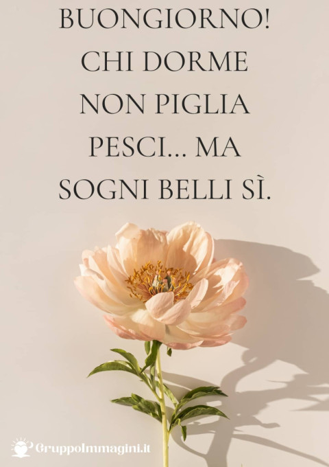 Buongiorno! Chi dorme non piglia pesci… ma sogni belli sì