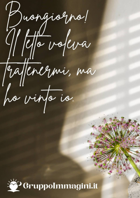 Buongiorno! Il letto voleva trattenermi, ma ho vinto io