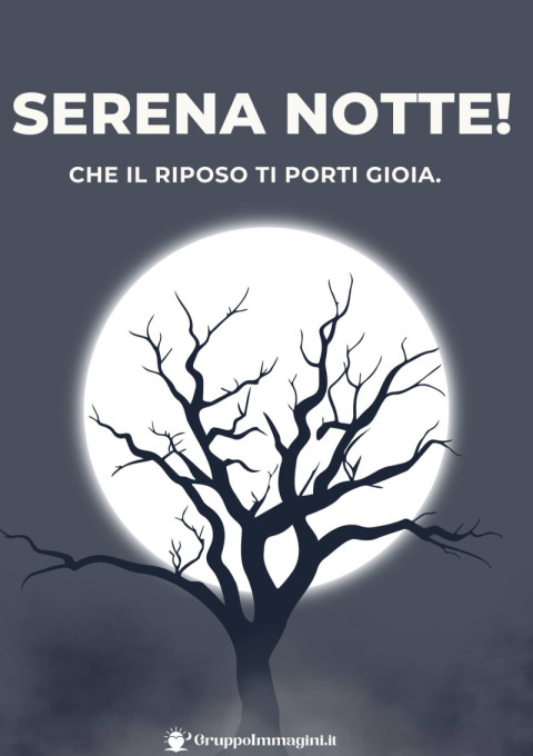 Serena notte! Che il riposo ti porti gioia
