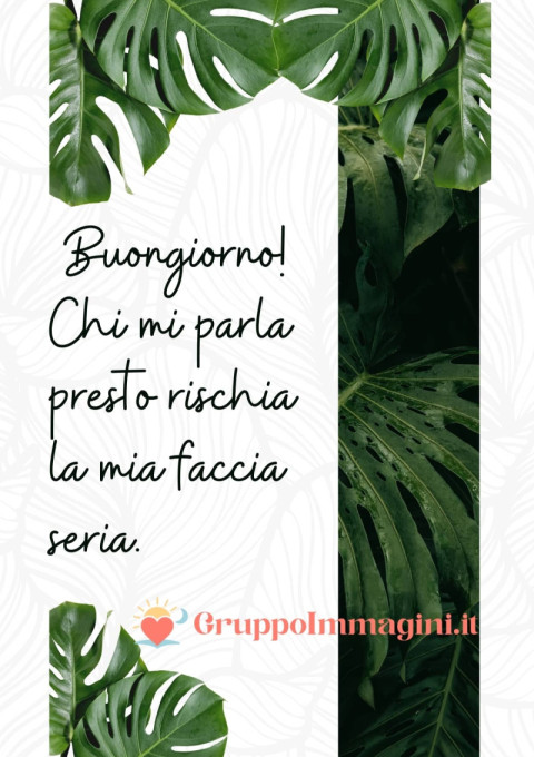 Buongiorno! Chi mi parla presto rischia la mia faccia seria