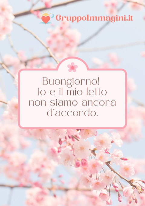 Buongiorno! Io e il mio letto non siamo ancora d’accordo