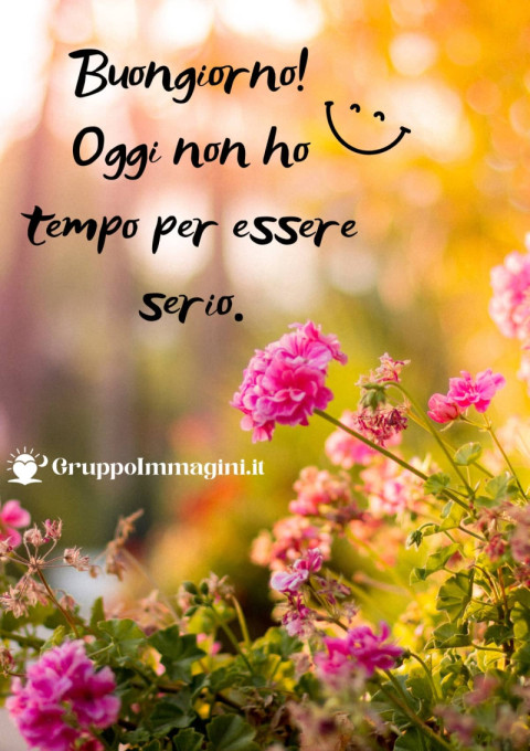 Buongiorno! Oggi non ho tempo per essere serio