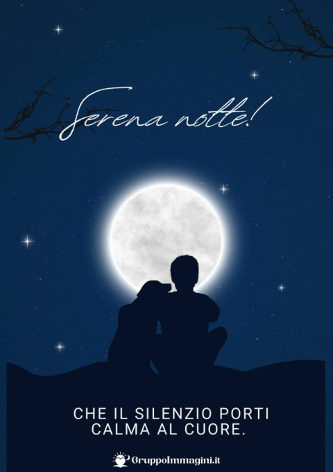 Serena notte! Che il silenzio porti calma al cuore