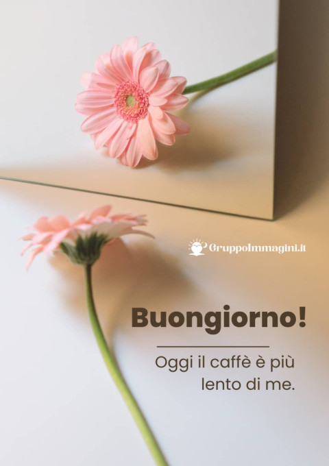 Buongiorno! Oggi il caffè è più lento di me