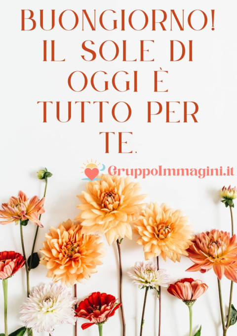 Buongiorno! Il sole di oggi è tutto per te