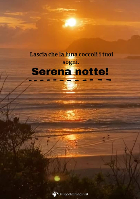 Serena notte! Lascia che la luna coccoli i tuoi sogni