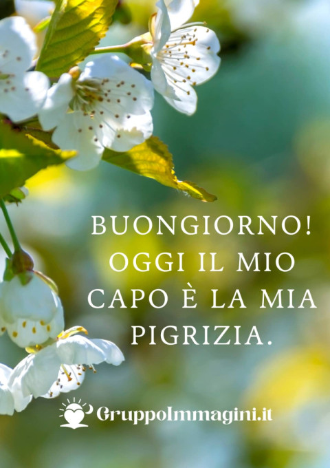 Buongiorno! Oggi il mio capo è la mia pigrizia