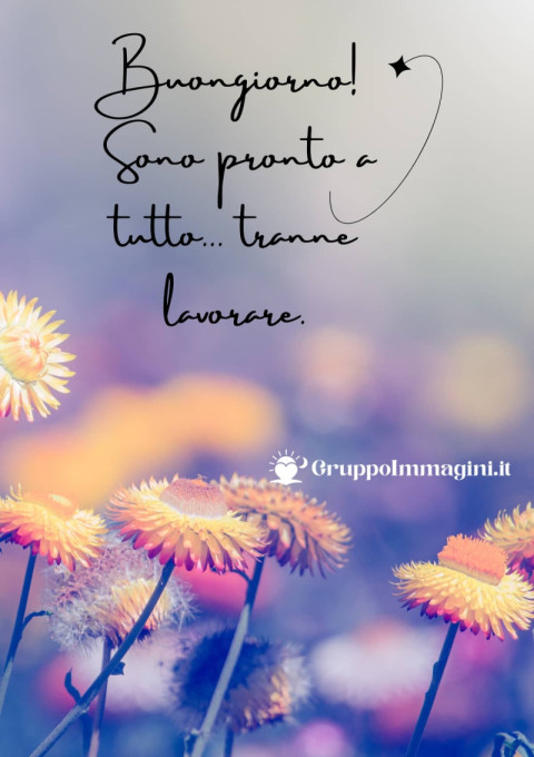 Buongiorno! Sono pronto a tutto… tranne lavorare