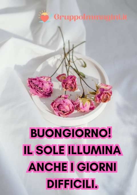 Buongiorno! Il sole illumina anche i giorni difficili