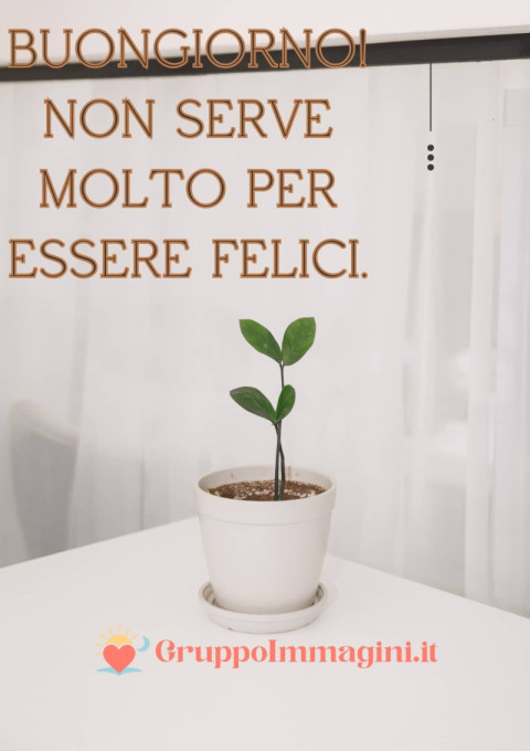 Buongiorno! Non serve molto per essere felici
