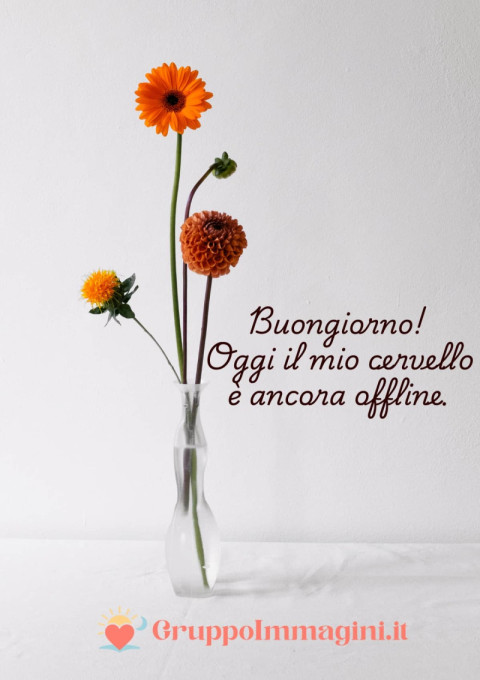 Buongiorno! Oggi il mio cervello è ancora offline
