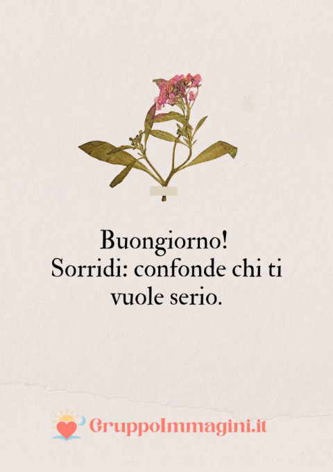 Buongiorno! Sorridi confonde chi ti vuole serio