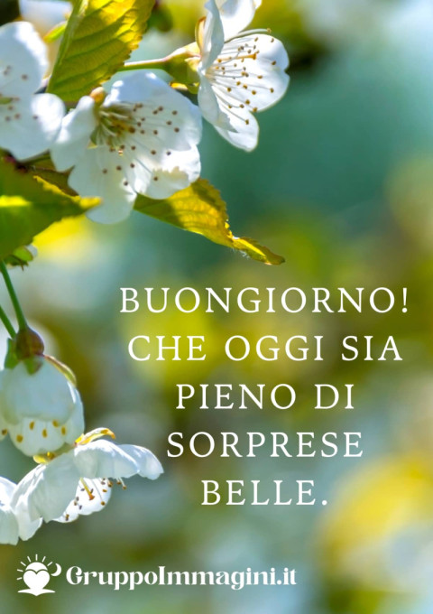 Buongiorno! Che oggi sia pieno di sorprese belle