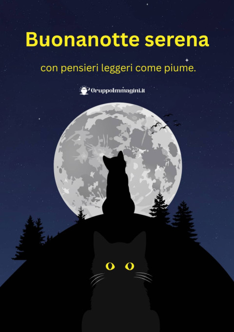 Buonanotte serena, con pensieri leggeri come piume