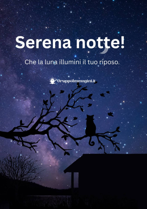 Serena notte! Che la luna illumini il tuo riposo