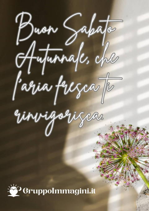 Buon Sabato Autunnale, che l’aria fresca ti rinvigorisca