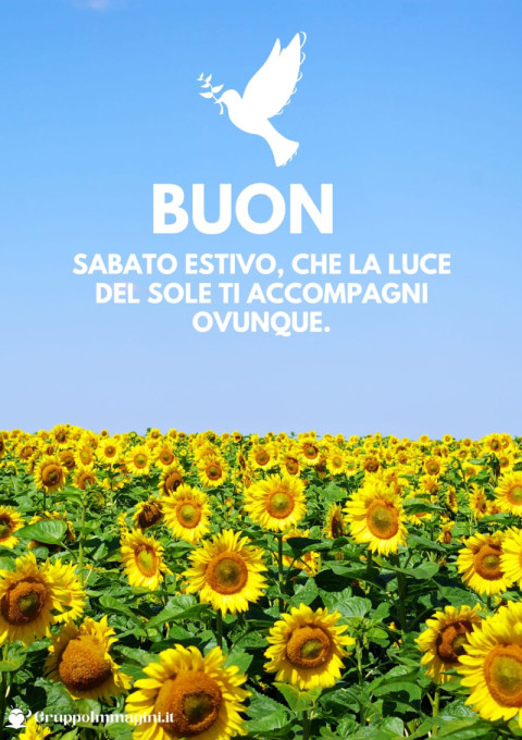Buon sabato estivo, che la luce del sole ti accompagni ovunque