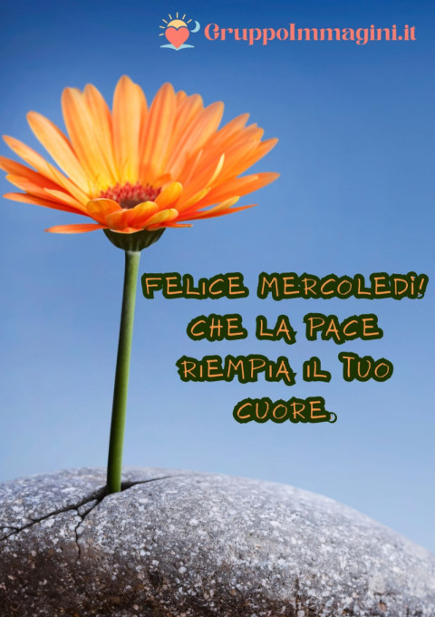 Felice mercoledì! Che la pace riempia il tuo cuore