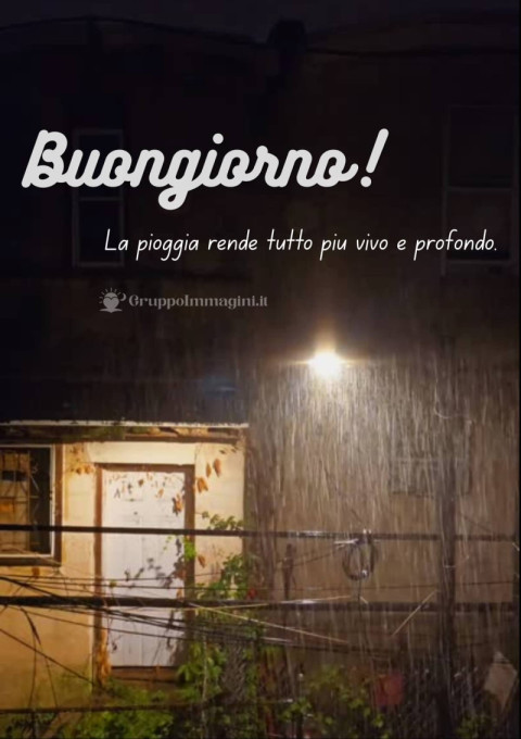 Buongiorno! La pioggia rende tutto più vivo e profondo