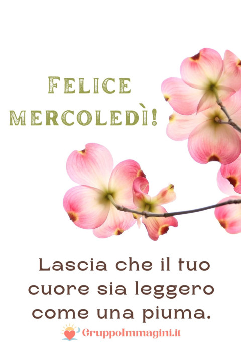 Felice mercoledì! Lascia che il tuo cuore sia leggero come una piuma