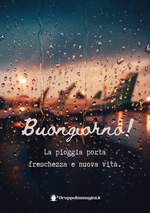Buongiorno! La pioggia porta freschezza e nuova vita