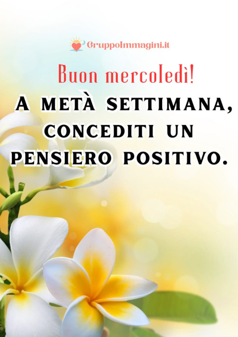 Buon mercoledì! A metà settimana, concediti un pensiero positivo