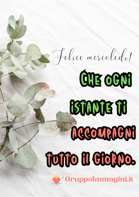 Felice mercoledì! Lascia che la positività ti accompagni tutto il giorno