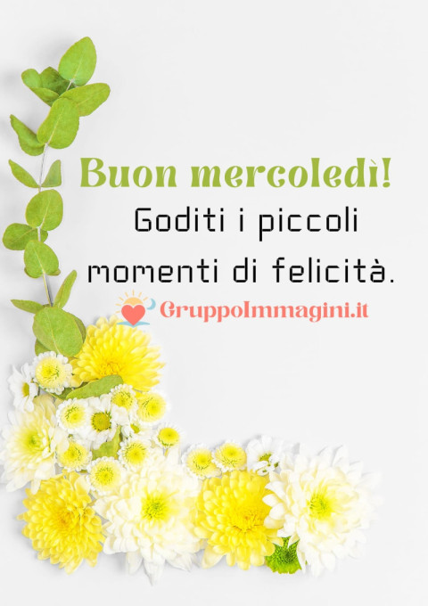 Felice mercoledì! Goditi i piccoli momenti di felicità