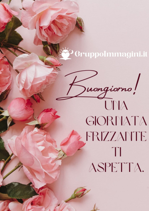 Buongiorno! Una giornata frizzante ti aspetta