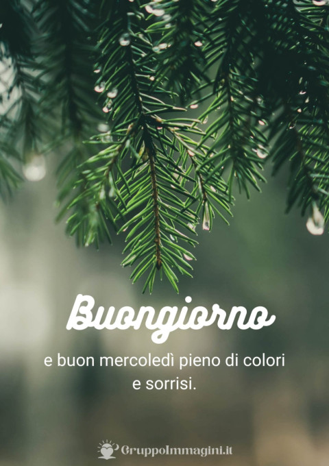 Buongiorno e buon mercoledì pieno di colori e sorrisi