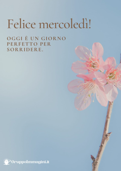 Felice mercoledì! Oggi è un giorno perfetto per sorridere