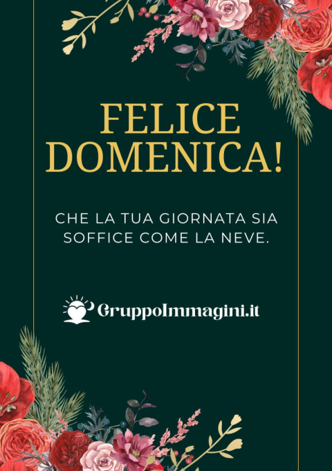Felice Domenica! Che la tua giornata sia soffice come la neve