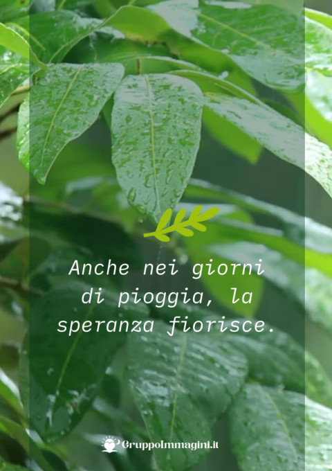 Anche nei giorni di pioggia, la speranza fiorisce