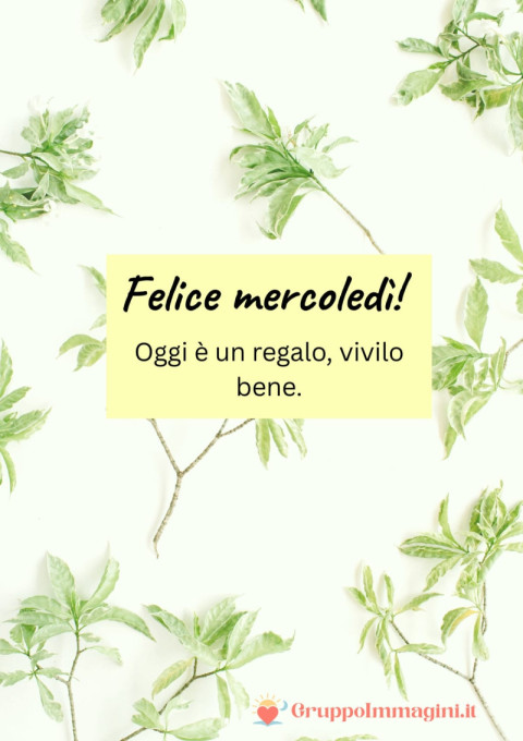 Felice mercoledì! Oggi è un regalo, vivilo bene