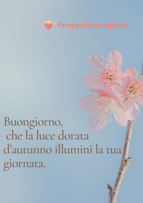 Buongiorno, che la luce dorata d’autunno illumini la tua giornata