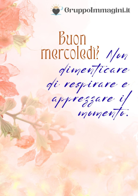 Buon mercoledì! Non dimenticare di respirare e apprezzare il momento