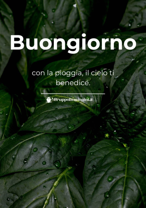 Buongiorno con la pioggia, il cielo ti benedice