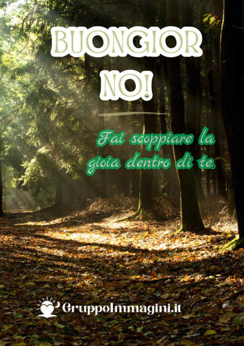 Buongiorno! Fai scoppiare la gioia dentro di te