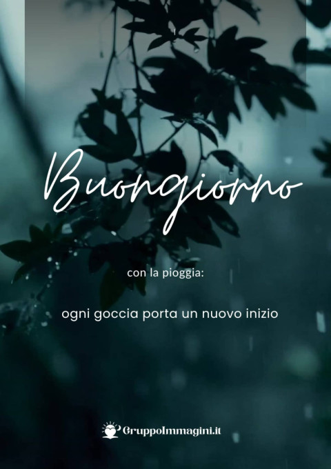 Buongiorno con la pioggia ogni goccia porta un nuovo inizio