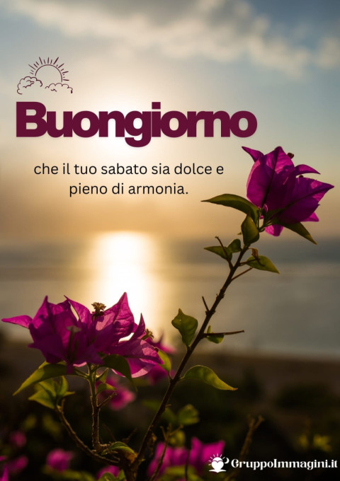 Buongiorno, che il tuo sabato sia dolce e pieno di armonia