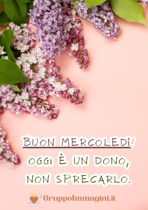 Buon mercoledì! Oggi è un dono, non sprecarlo