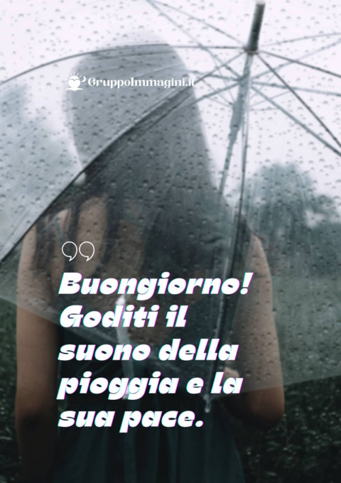 Buongiorno! Goditi il suono della pioggia e la sua pace